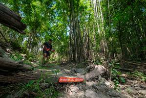 BIB: 
                            <button type="button" onclick="openModal(19393800)" class="btn btn-primary btn-sm float-right btn-popup" data-toggle="modal" data-target=".modal-high-quality">
                        <i class="fas fa-shopping-cart"></i> Add to Cart
                    </button>
                                            <button type="button" onclick="isThisMe(19393800, true)" class="btn btn-success btn-sm float-right btn-popup btn-isme hidden" data-toggle="tooltip" data-placement="bottom" title="นี่คือรูปของคุณใช่ไหม คลิกที่นี่เพื่อเอาเข้าอัลบั้ม">
                        <i class="fas fa-plus"></i> Add to album
                    </button>
                    <button type="button" onclick="isThisMe(19393800, false)" class="btn btn-warning btn-sm float-right btn-popup btn-isnotme hidden">
                        <i class="fas fa-ban"></i> Remove from album
                    </button>